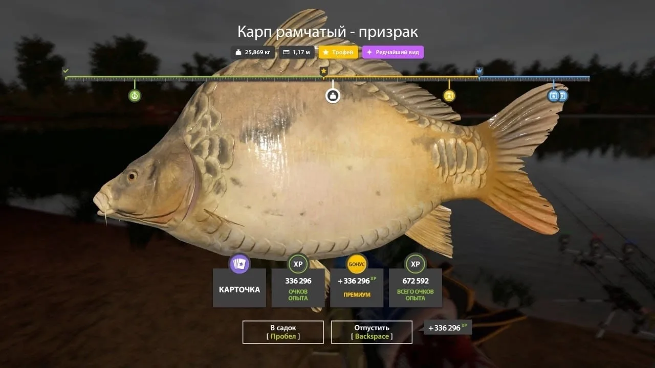 #янтарное@pp4wikipedia
🐟 Карп рамчатый-призрак (трофей)
📌 Координаты 83:145
🎣 Клипса 35
⏰ Время л