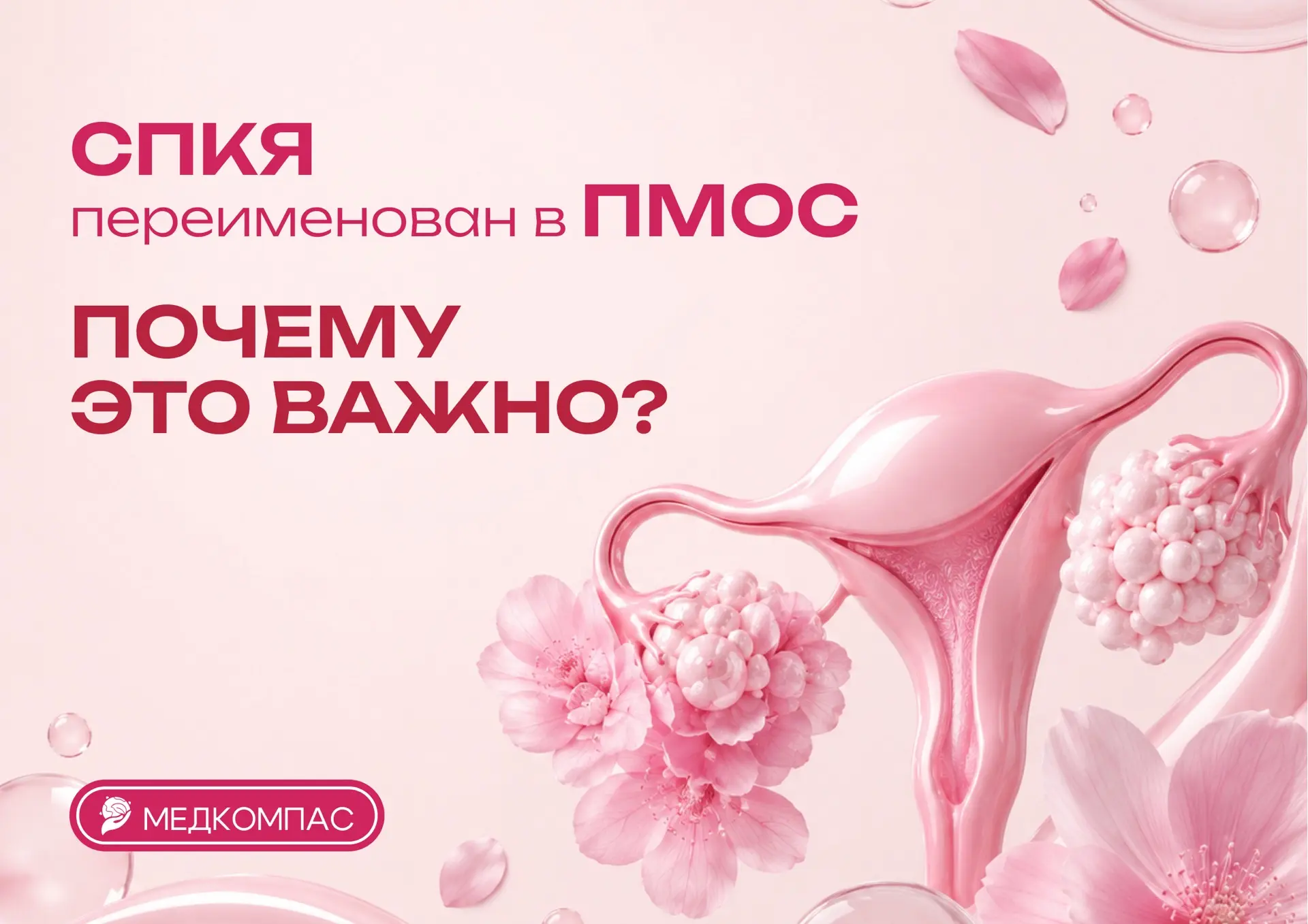 Почему СПКЯ переименовали и что это значит для женщин? 🔍