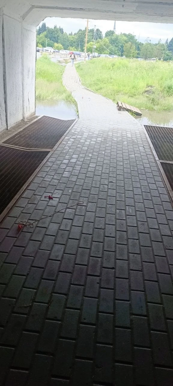Сухо 👌

Новости ЖК Прибрежный Парк