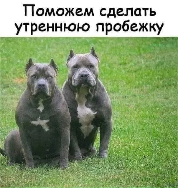 Подпишись, чтобы не потерять👇
