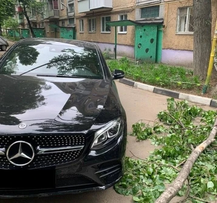 ⚡Новокузнечанин отсудил у города 127 тысяч за упавшее на Mercedes дерево