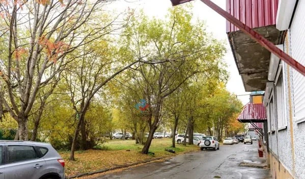 Суд заставит застройщика отвечать за дыры в стенах