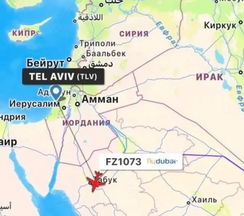 Теракт — одна из основных версий произошедшего на борту Flydubai.