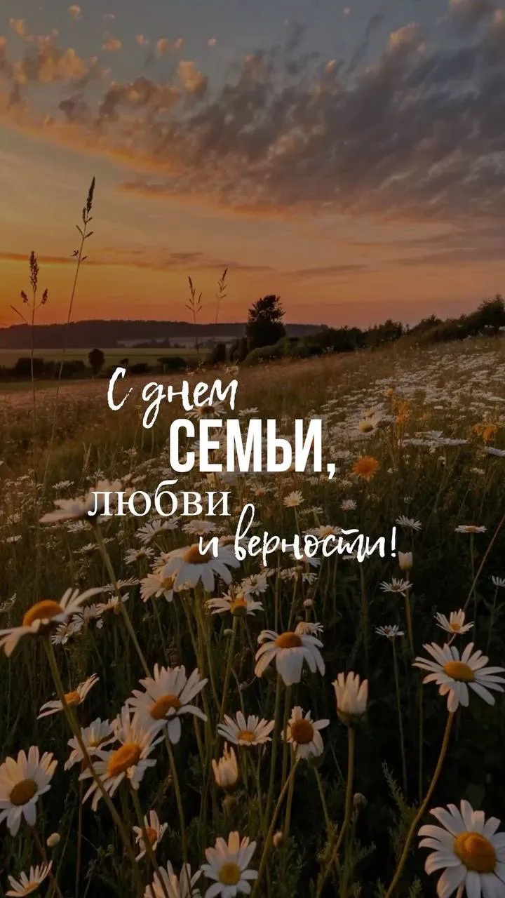 С Днем семьи, любви и верности❤️🕊