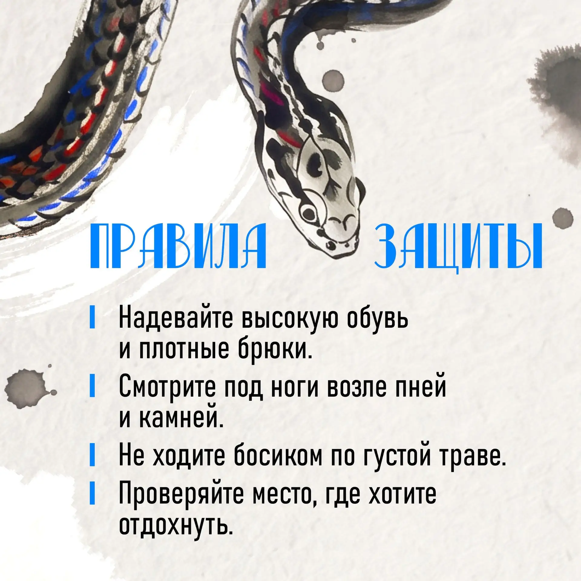 Как вести себя при встрече со змеёй

🐍 Летом в Приморье змеи активны. Их можно встретить на даче, у