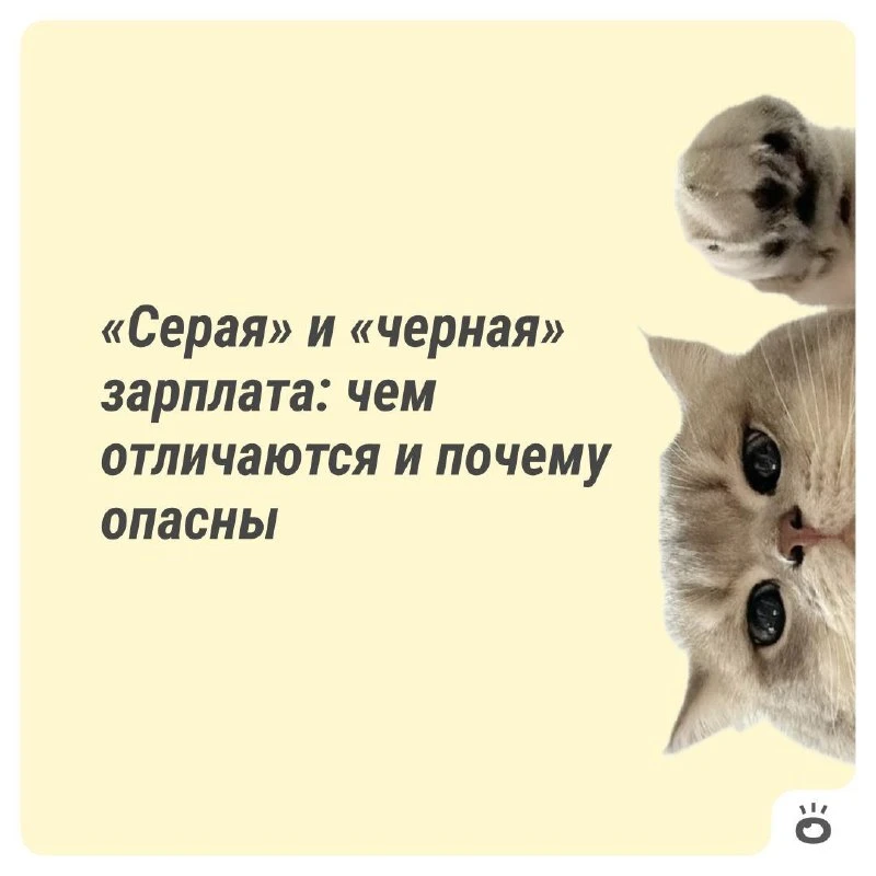 Зарплата в конверте кажется выгодной только на первый взгляд. Многие соглашаются на «се...