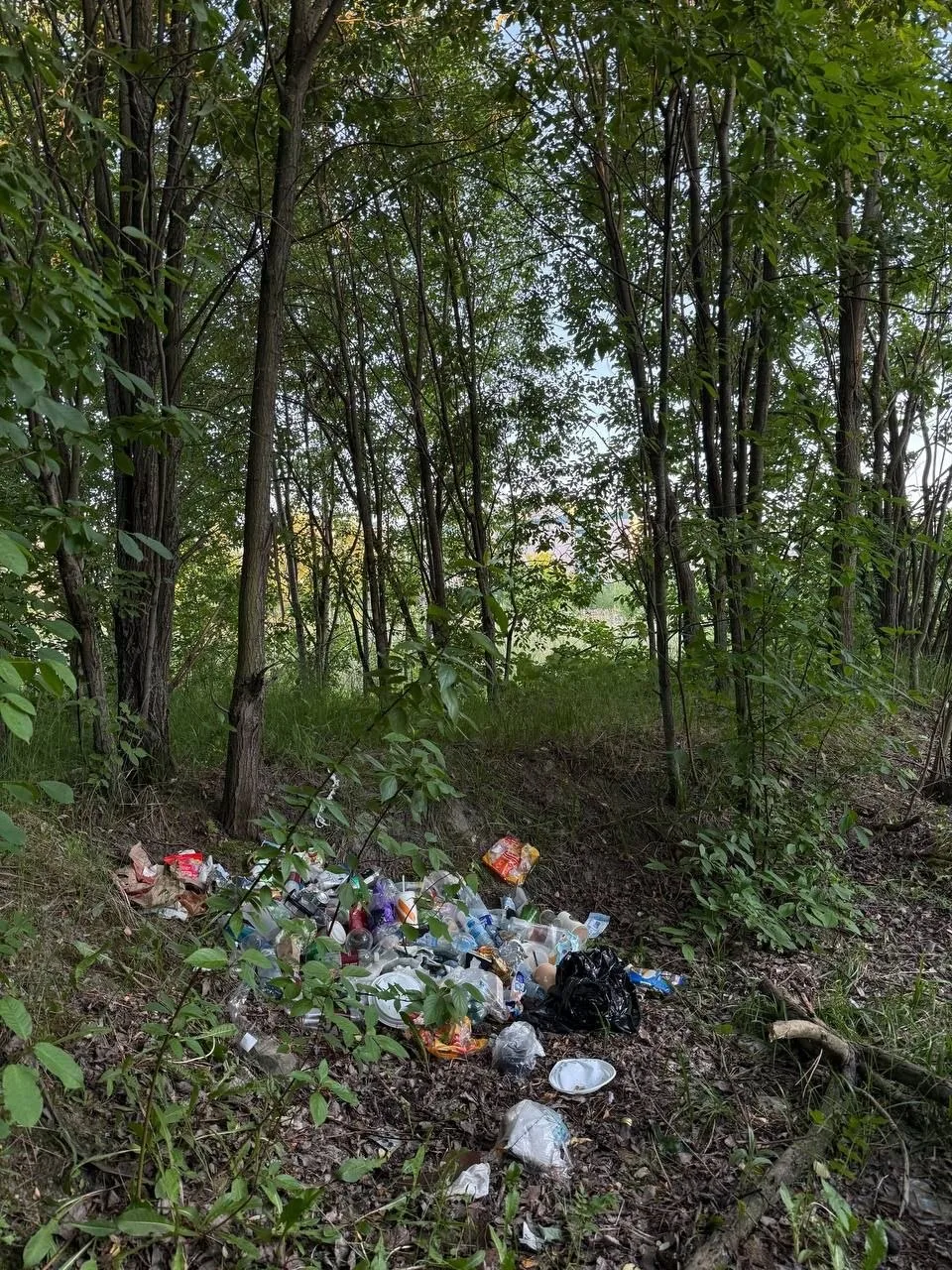 Парк «Озеро Долгое» начали превращать в помойку — лето же наступило 🤦

Люди, вы люди или как? 🤬

П
