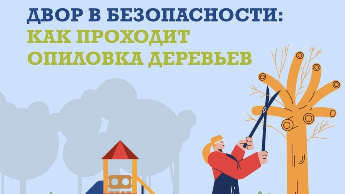 Уважаемые жители!
Начался период ухода за зелёными насаждениями, в том числе опиловки деревьев.
При 