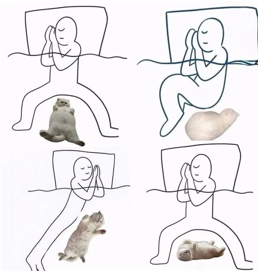 😃😃😃