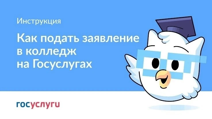 🎓 Как подать заявление в колледж через Госуслуги: инструкция