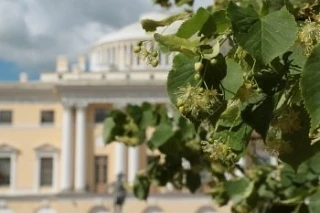 🌳5 июля с 13:00 до 17:00 в Павловском парке — праздник «Летний день под липами»

Духовой оркестр «К