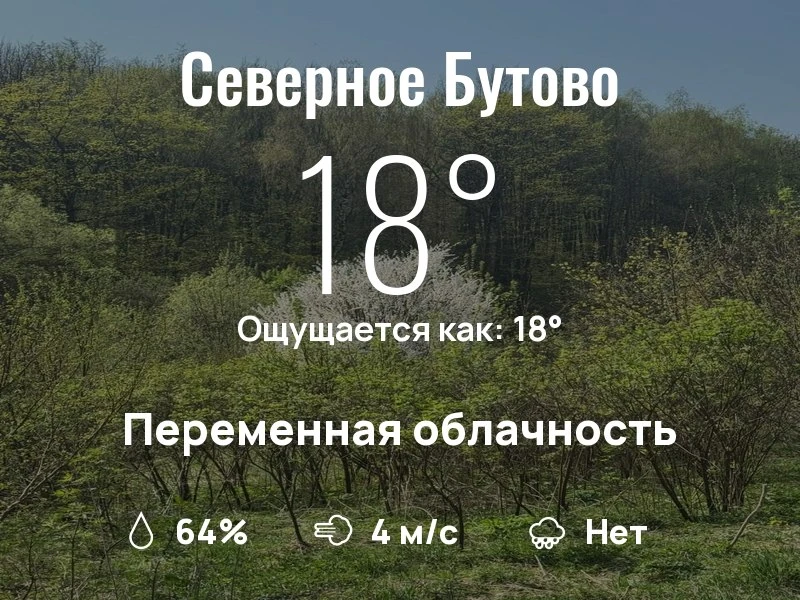 Что с погодой в Северном Бутово?