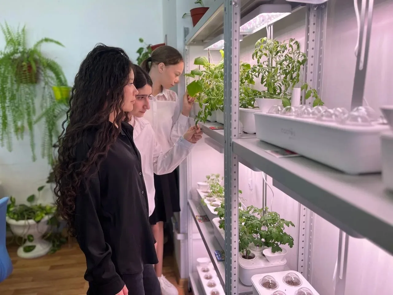 🌱 «Зелёный эксклюзив» за полярным кругом: школьники Ямала стали сити‑фермерами при поддержке ЛУКОЙЛа