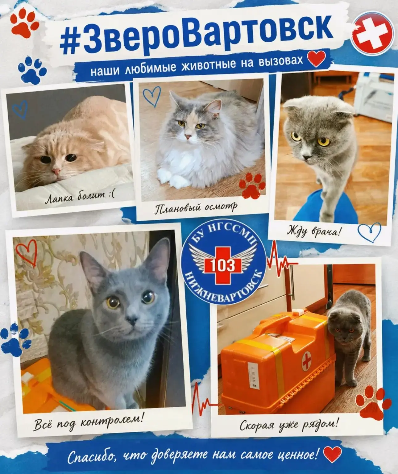 🐾 #ЗвероВартовск снова врывается в ленту! 🐾