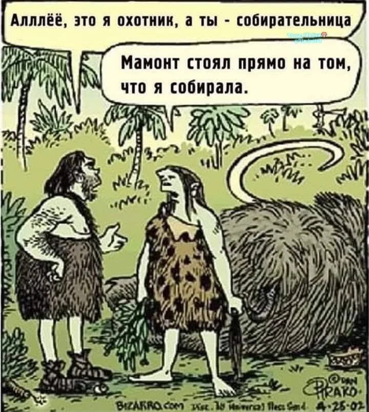 И прошёл по помытому 😈