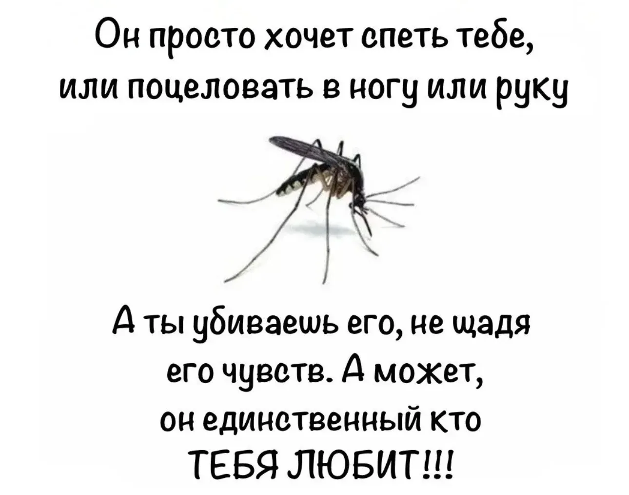 Не единственный 🫶