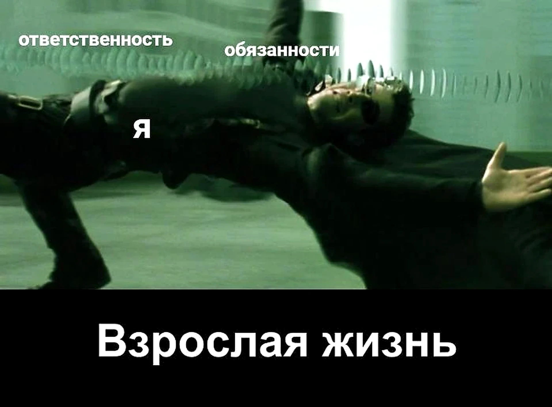 Иногда мне кажется, что взрослость — это когда ты наконец всё поняла и жизнь стала пред...