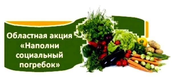 🍅🍆🥔🥕С 14 августа по 30 сентября в Ульяновской области объявлена благотворительная а...