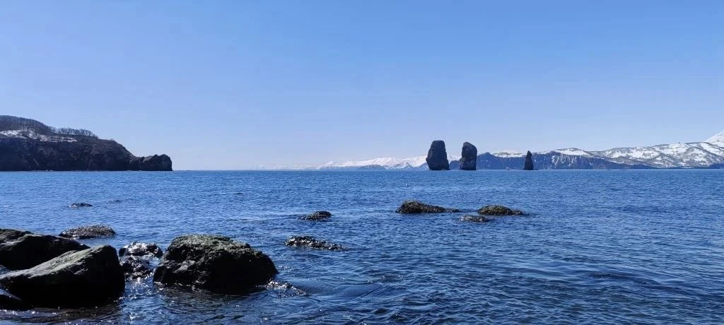 🌊 Всемирный день океанов