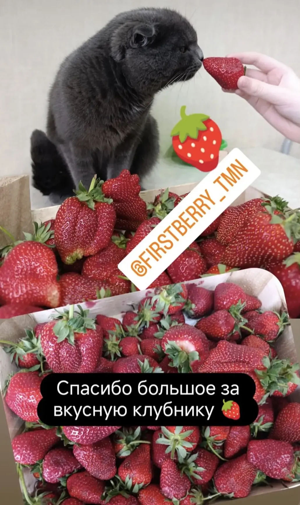 Благодарим всех за ваши отзывы ❤️ Нам очень приятно, что наши ягодки пришлись вам по вкусу!   Мы дей