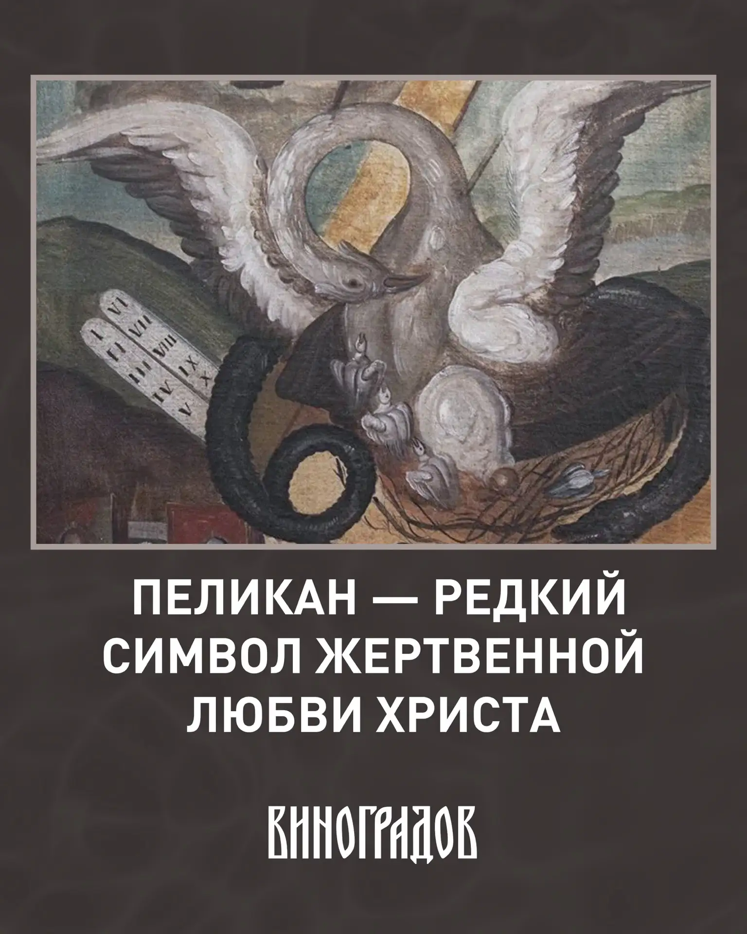 Пеликан — один из самых трогательных и малоизвестных христианских символов. Вы наверняка видели его 