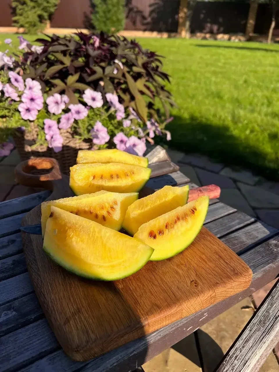 Выращивание арбузов в открытом грунте!🍉🍉