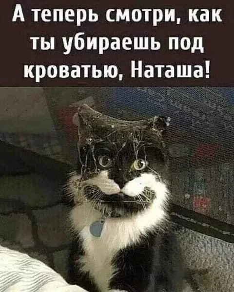 Ведьмин котелок 🧙 Подписаться