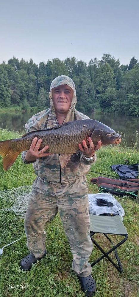 🎣 Улов от подписчика

📍 Владимирская область, дикое лесное озеро

Вечером, примерно в 20:15, клюну