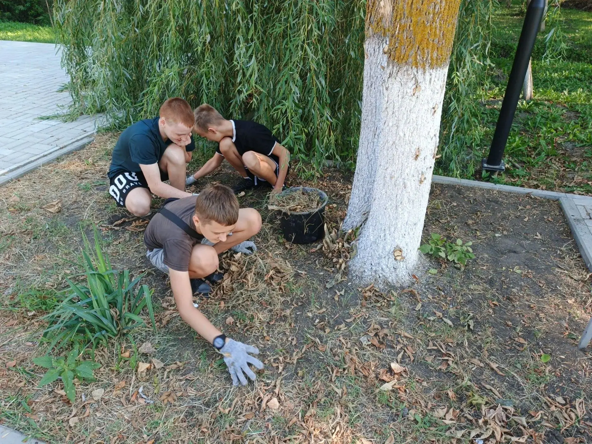 🌿 Чистый парк!