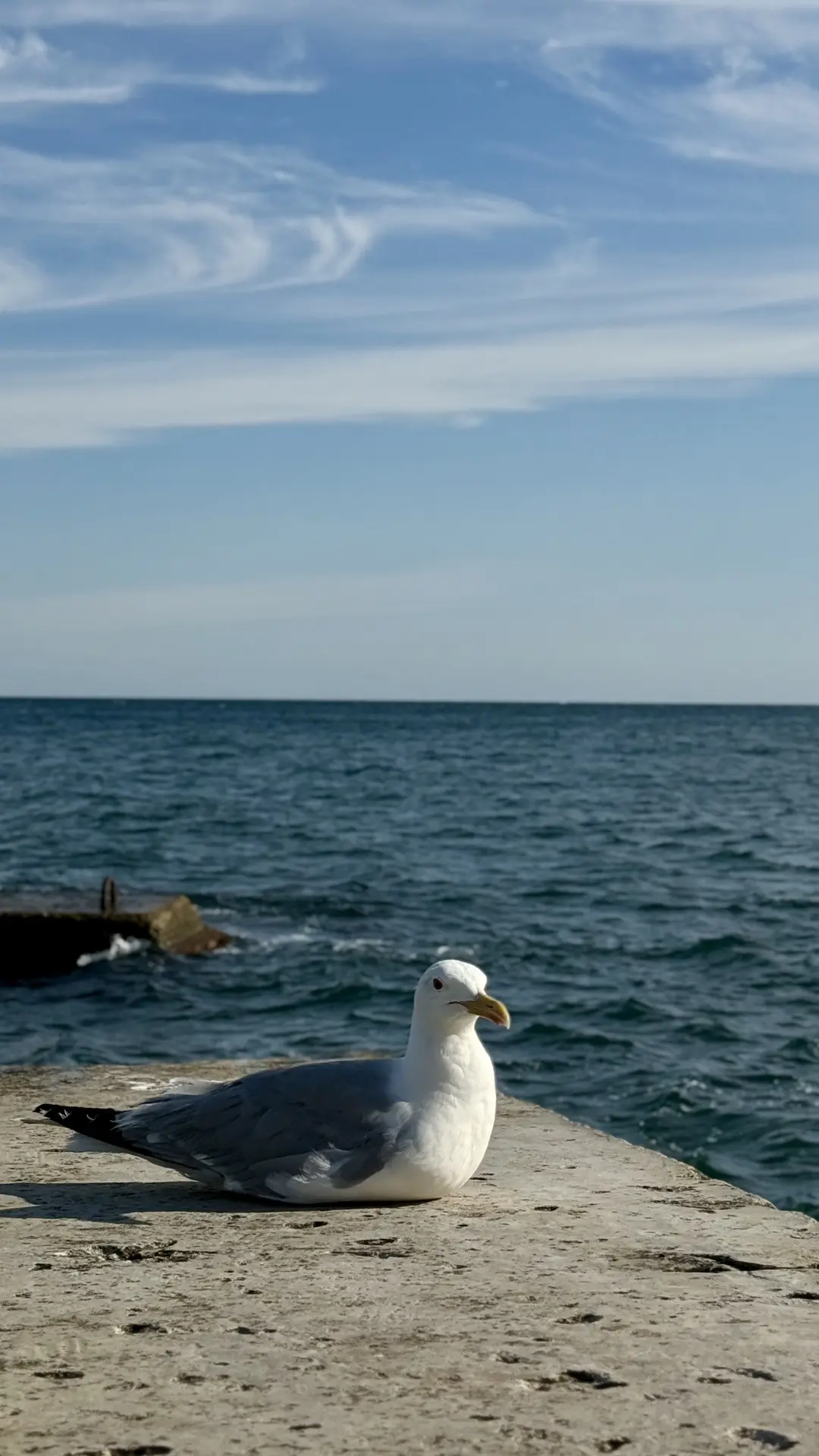 ☀️🌊 Доброе прекрасное утро! С началом новой рабочей недели! 🌊☀️