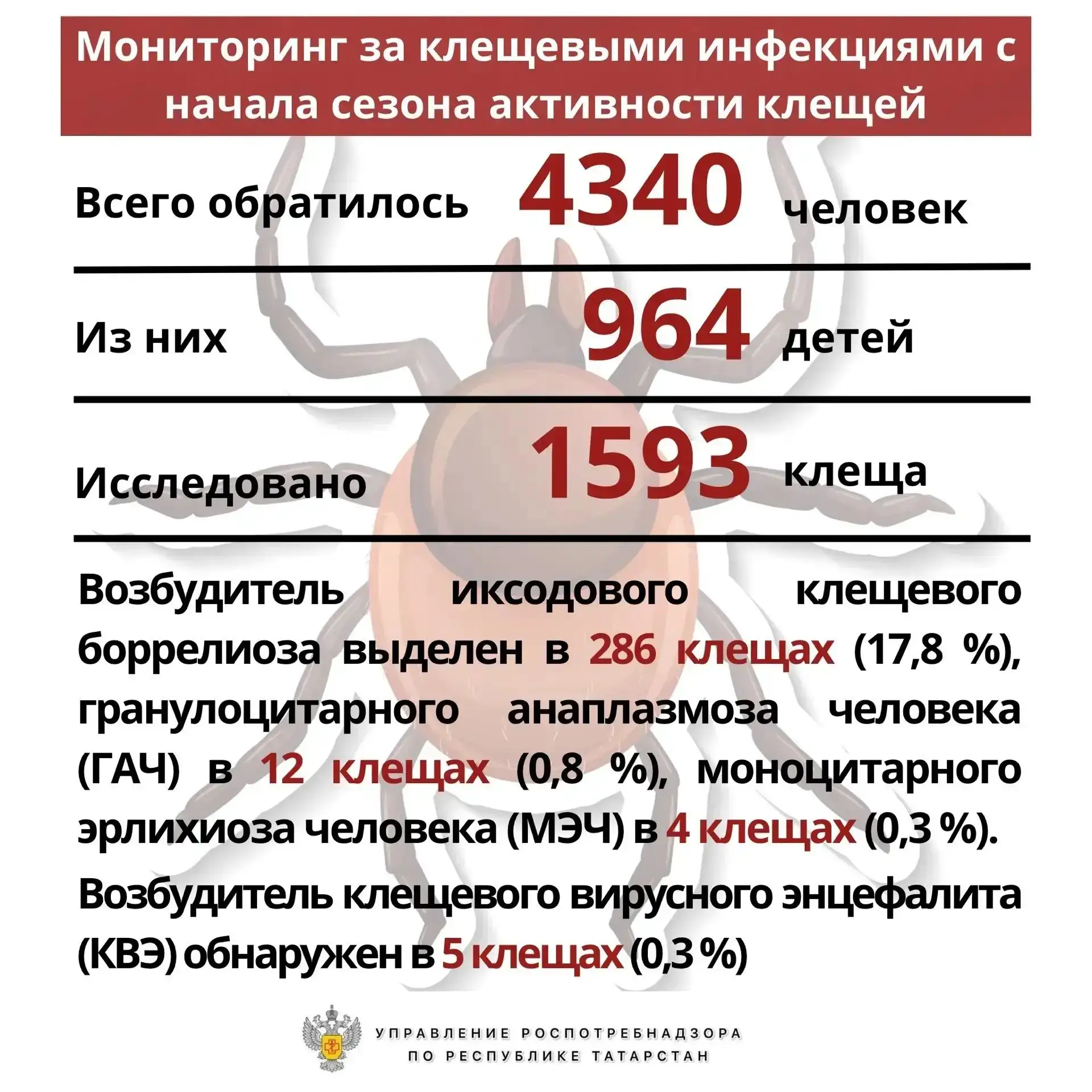 🕷️ Управление информирует о еженедельном мониторинге за клещевыми инфекциями
 
В Республике Татарст