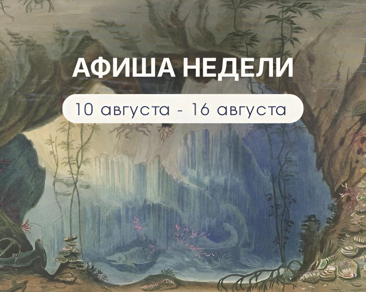 ⌛ 13 августа