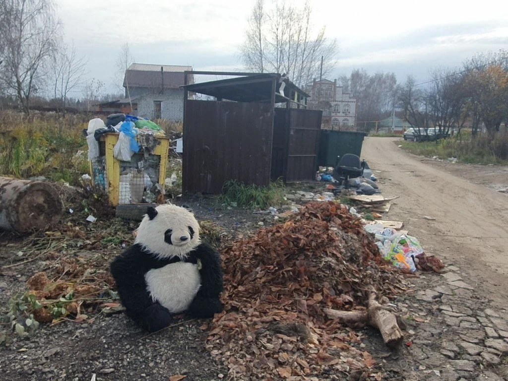 📸 Более 300 камер будут следить за незаконным сбросом мусора в Нижегородской области
