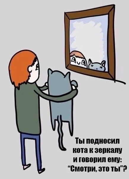 Подпишись на юмор 😂