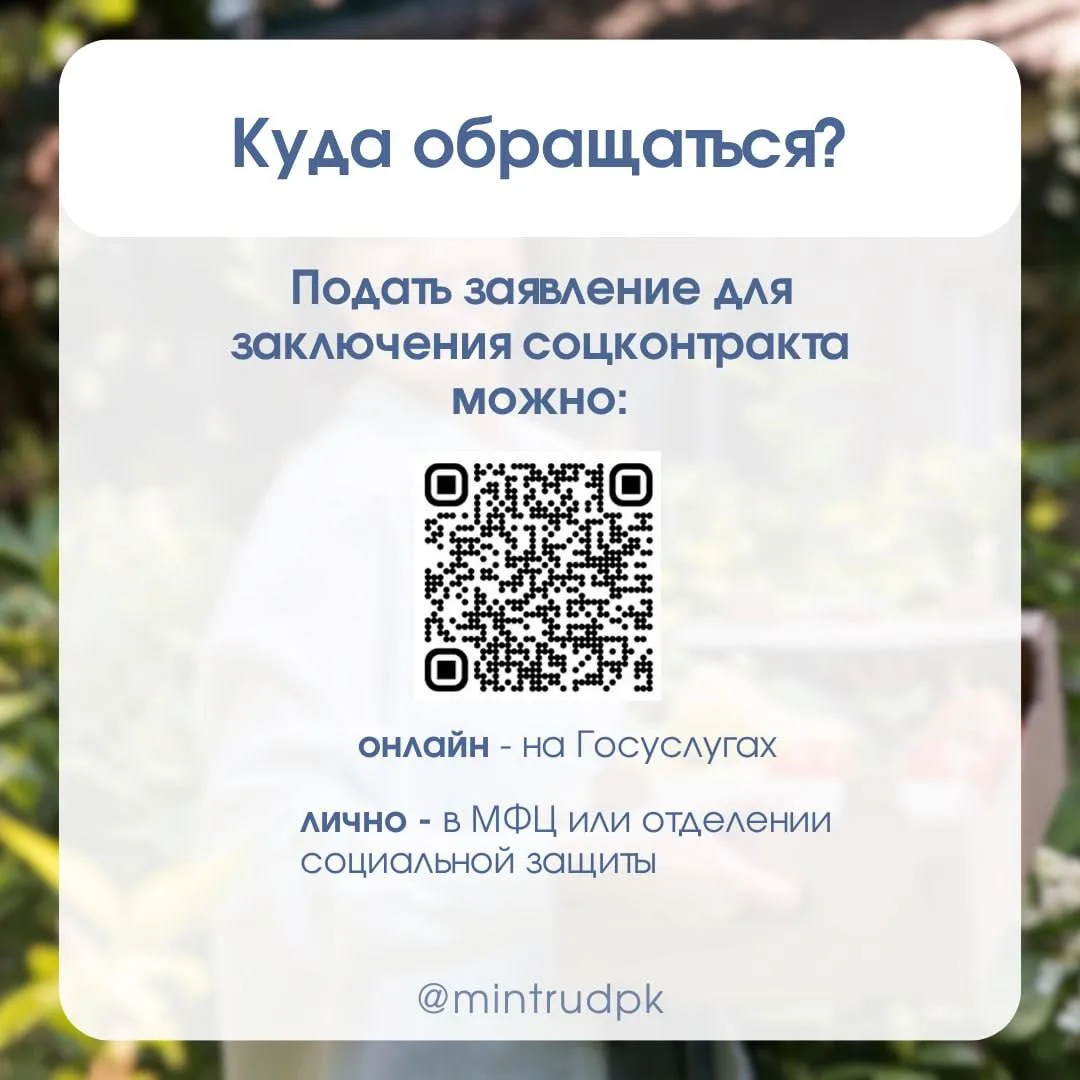 Социальный контракт на ведение личного подсобного хозяйства   Отвечаем на вопросы об условиях заключ