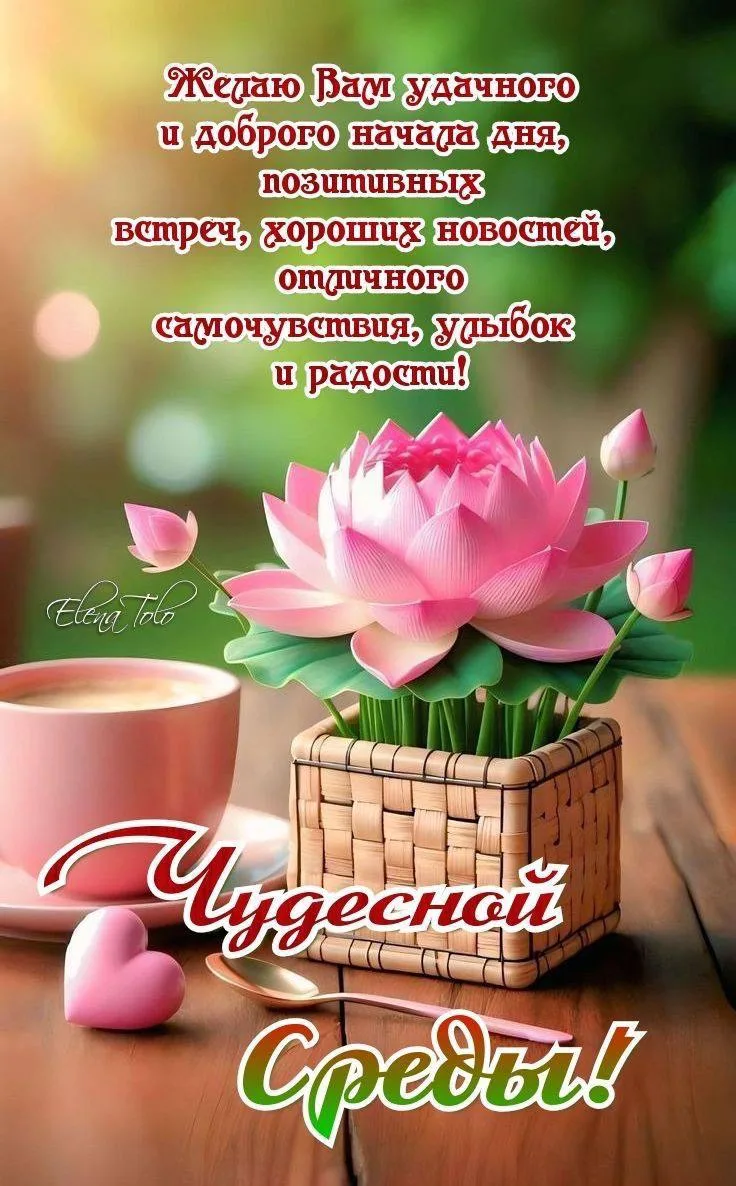 НОВЫЕ ОТКРЫТКИ 🎁