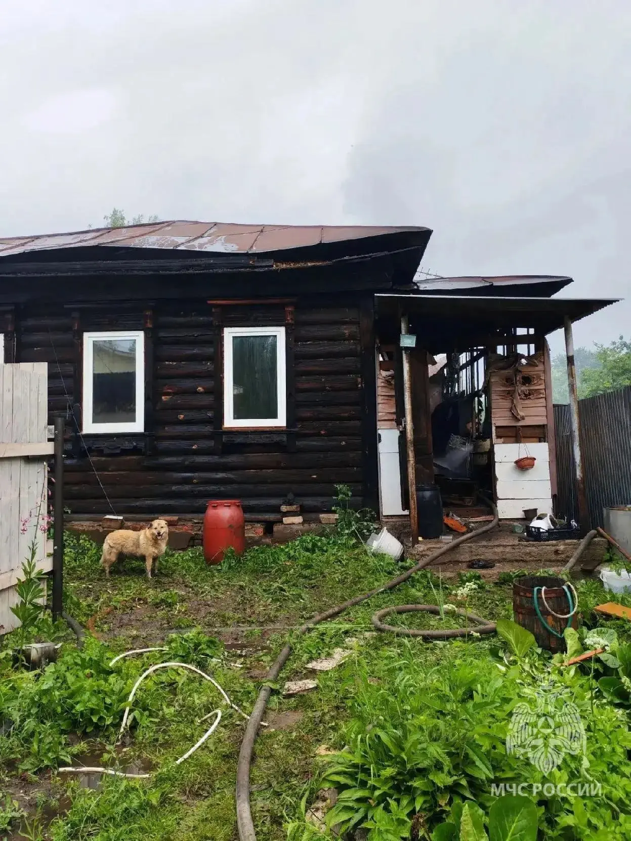 В Богородске из-за удара молнии загорелся дом.

Огонь разошелся на площади 88 квадратных метров. Сей