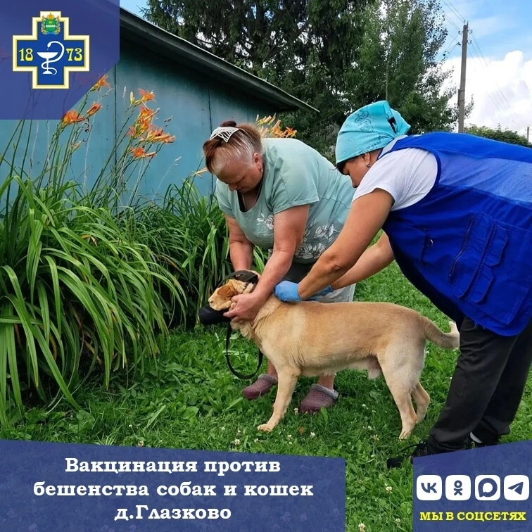 🐾 Ветеринарные будни специалистов Мещовского отдела ГБУ КО "Сухиничская межрайонная ве...