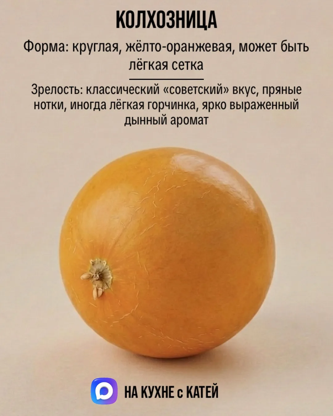 Составила для вас памятку по самым популярным сортам🍈дынь.⁣⁣⠀