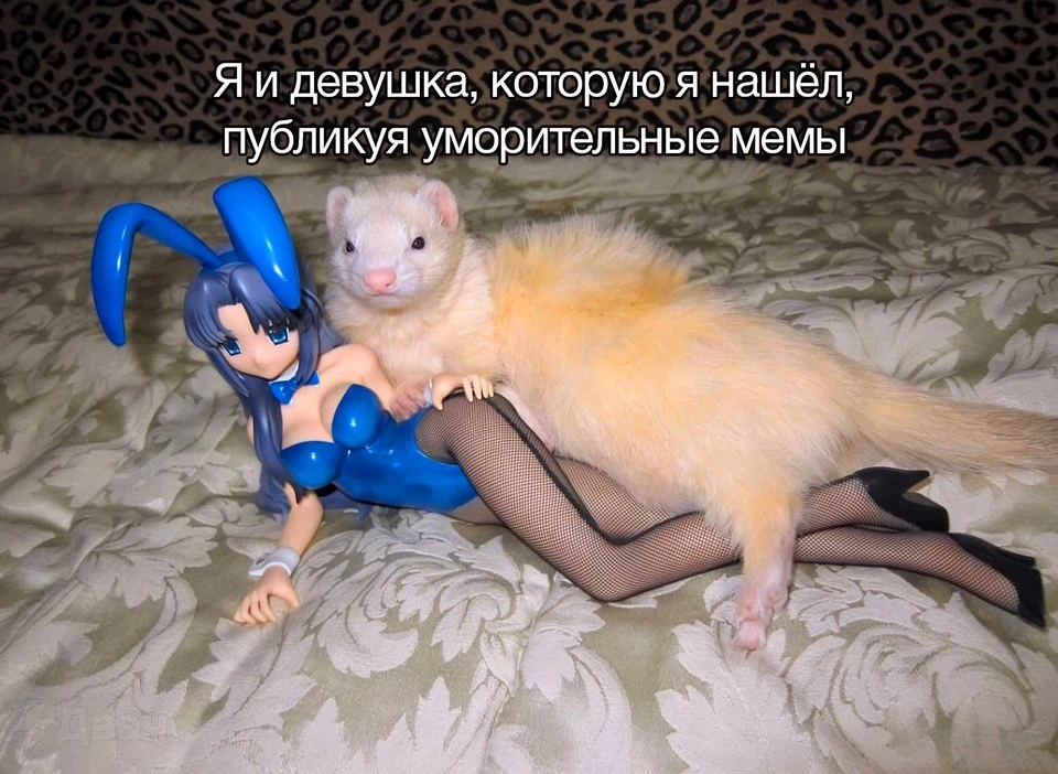 Изображение 1 к публикации «Рандомач»