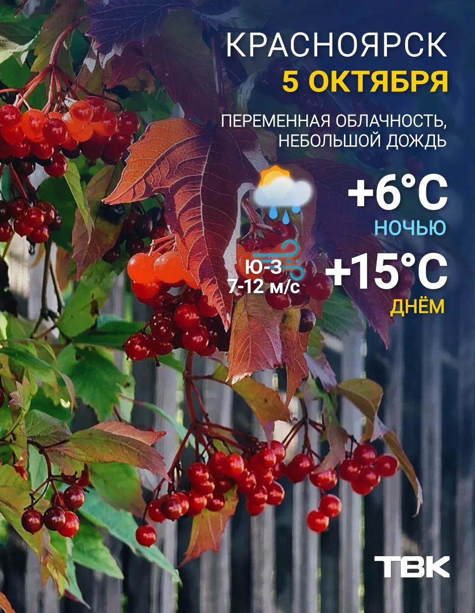 Погода на сегодня 🍃