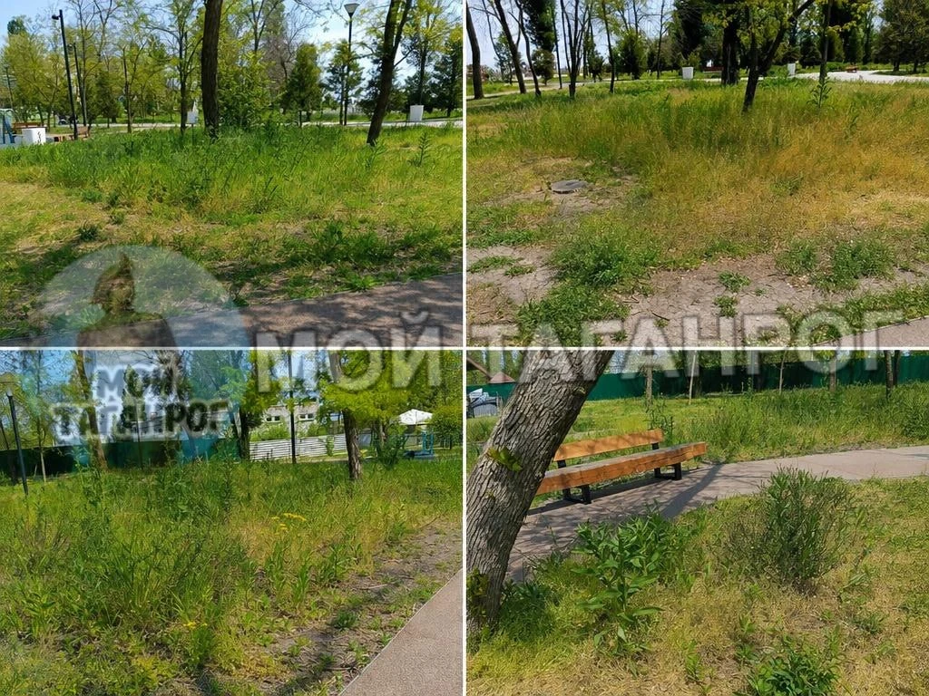 Подписчик задаётся вопросом, не стыдно ли администрации и службам благоустройства за нынешнее состоя