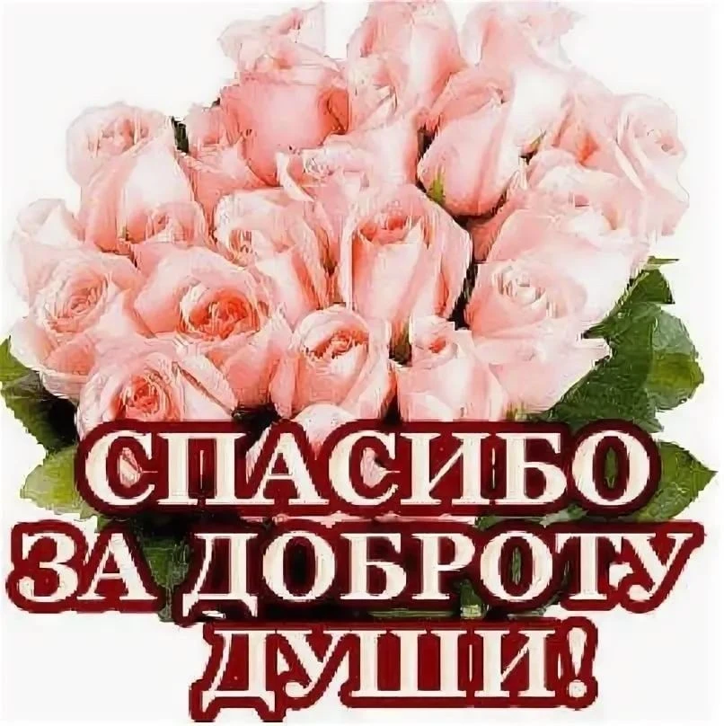 В честь Дня знаний наш друг Ким Мария Валерьевна поздравила воспитанников с началом уче...