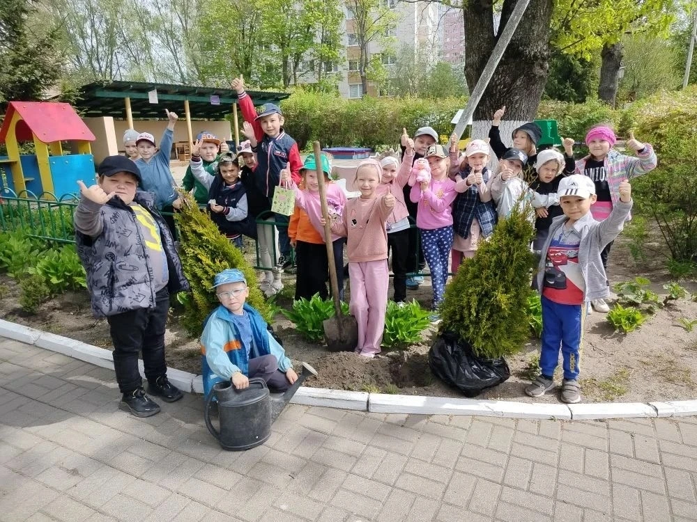 В нашем детском саду стало доброй традицией  высаживать зеленые насажденья на Аллее вып...