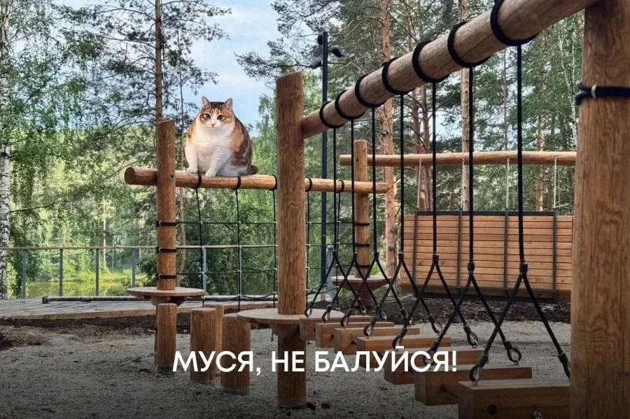 Академический | Широкая речка | Екатеринбург🏡