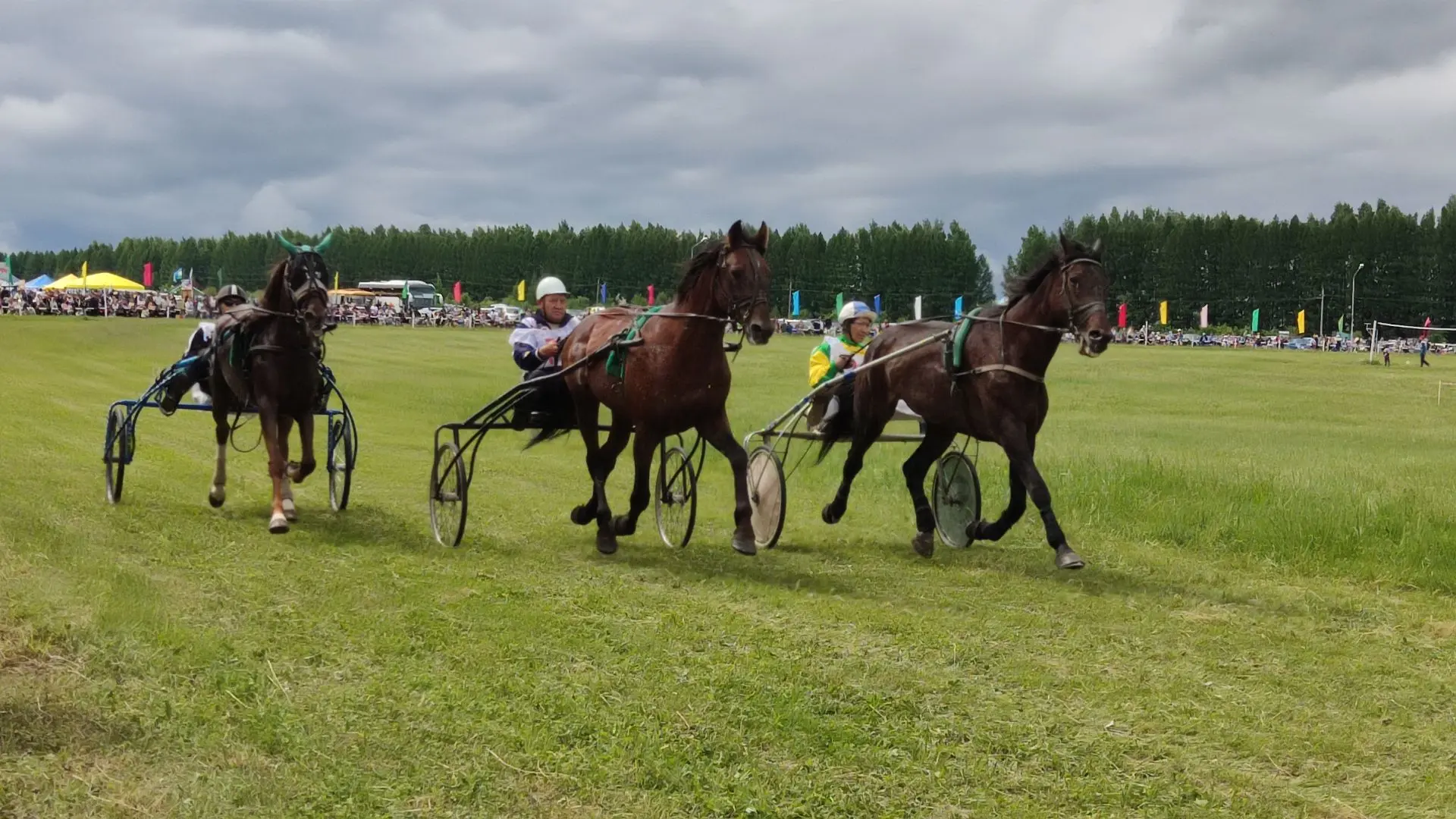 🐎 Дүртөйлө районында “Ҡанатлы ат” ат фестивале үтәсәк