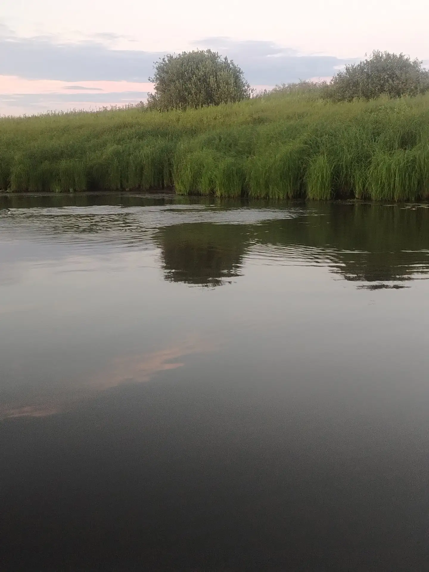 Изображение 5 к публикации «Рыбалка | Клёвое место 🎣»