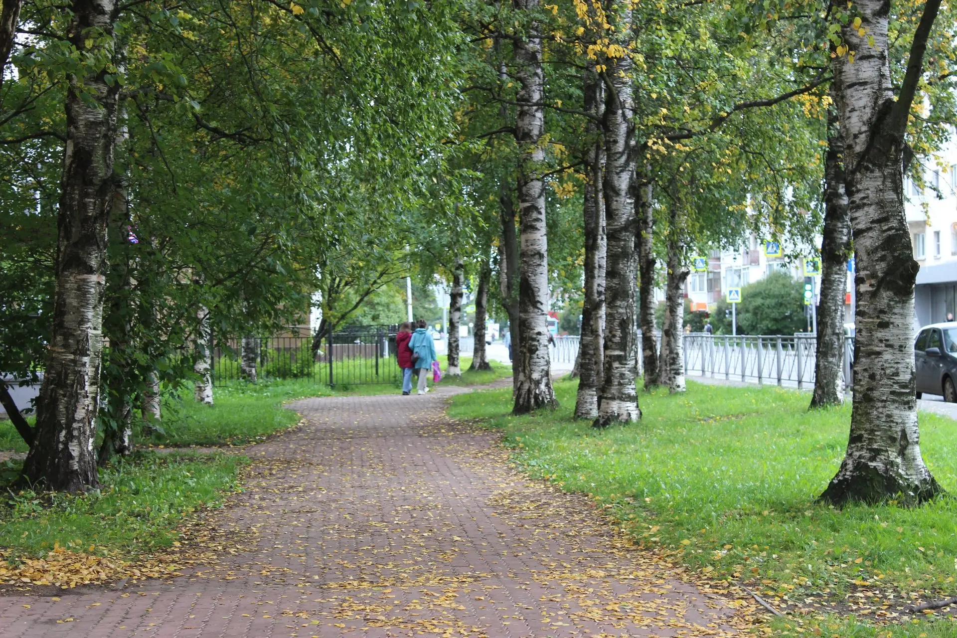 Доброе утро, регион! Сегодня суббота, 5 сентября 🍂