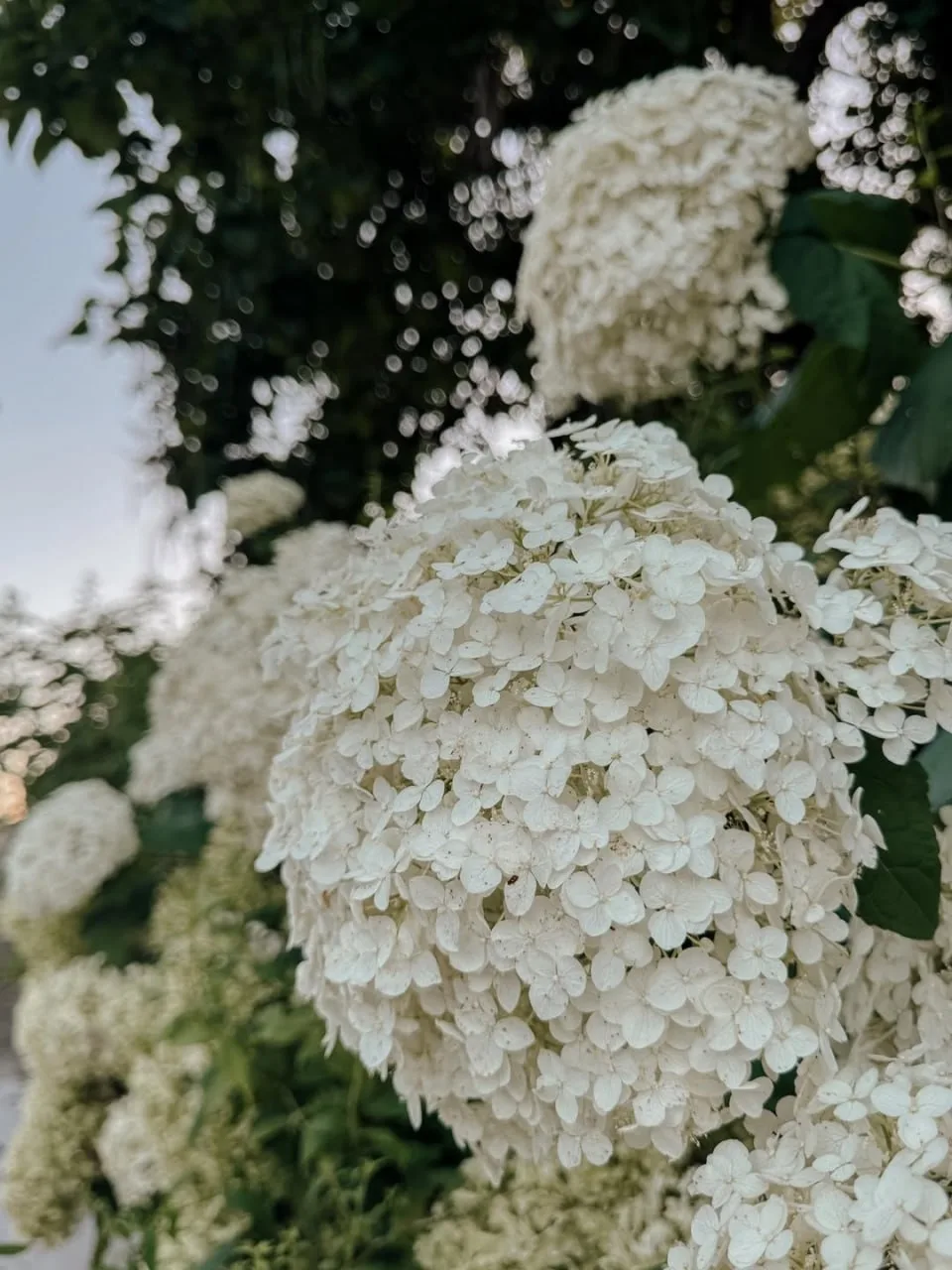 🤩 Рассветы и закаты - моя вечная любовь...

Отчего же кажется, что сейчас они стали ещё любимее? Ут
