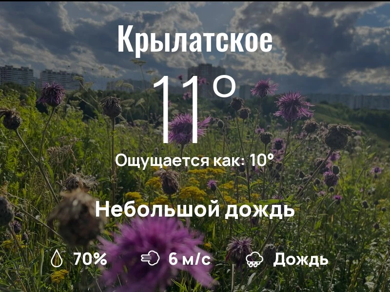 Что с погодой в Крылатском?